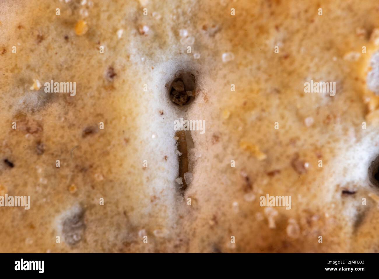 close up of whole wheat crackers Stock Photo