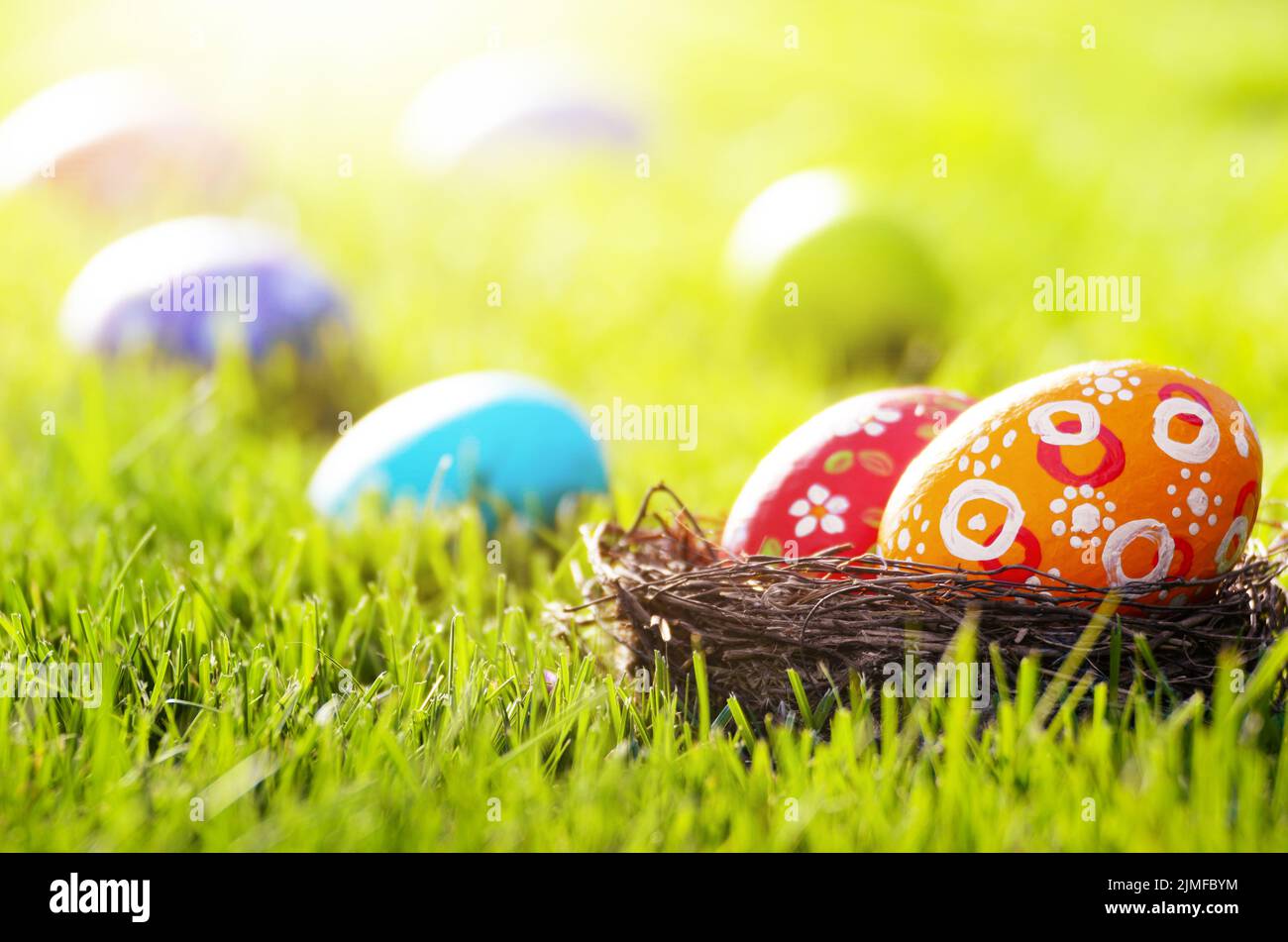 Easter eggs in the nest on green spring grass Stock Photo