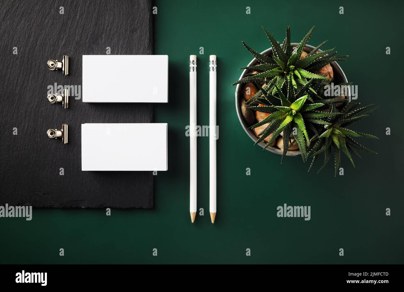Stationery and plant Stock Photo Alamy