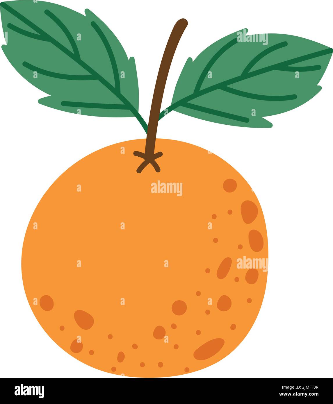 orange fruit design Stock Vector Image & Art - Alamy