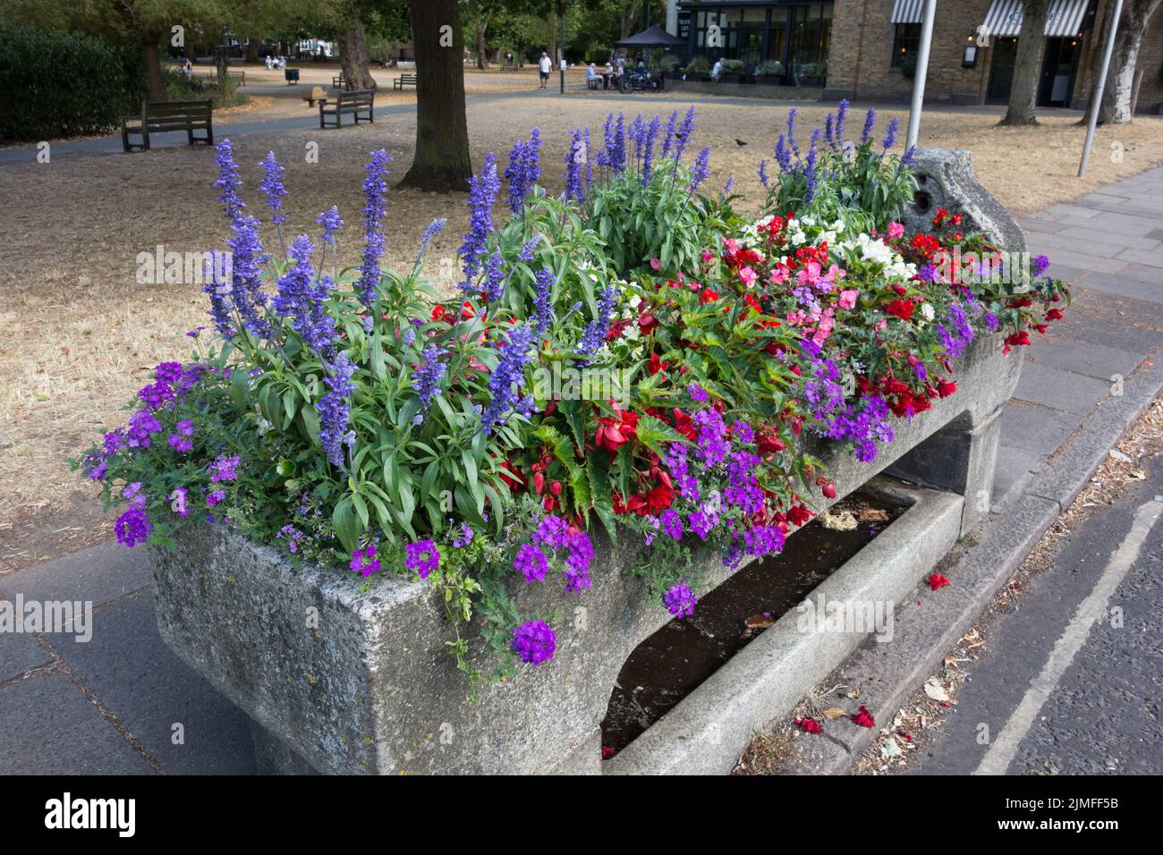 A colourful and blooming Metropolitan Drinking Fountain and cattle trough adjacent to Barnes Pond in Barnes, southwest London, England, UK Stock Photo