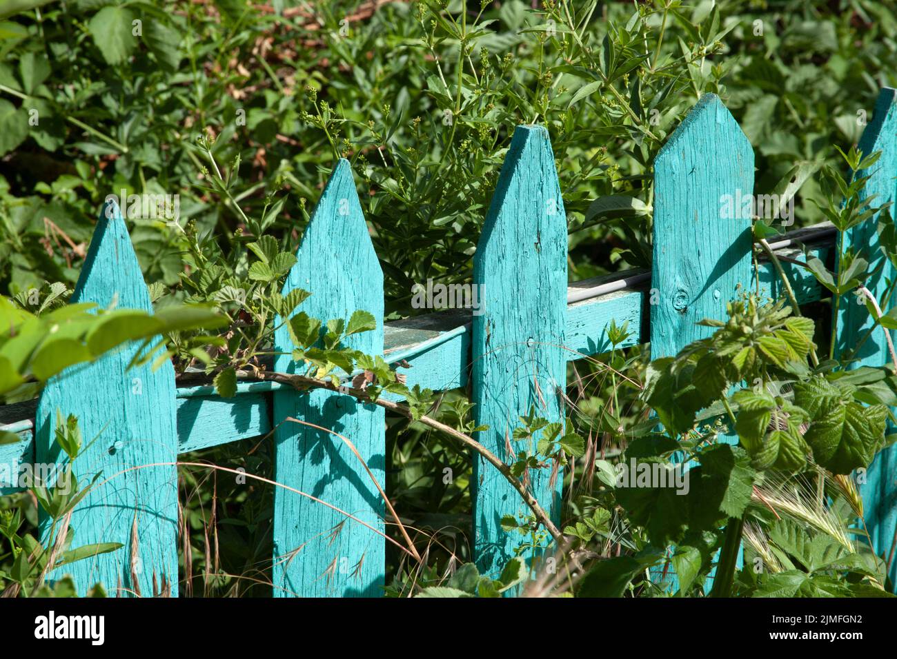 Turquoise wooden garden fence hi-res stock photography and images - Alamy