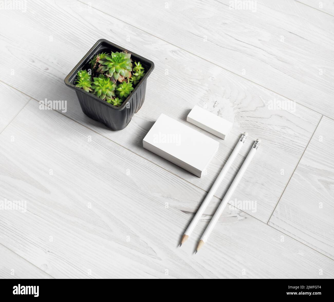 Stationery and plant Stock Photo Alamy