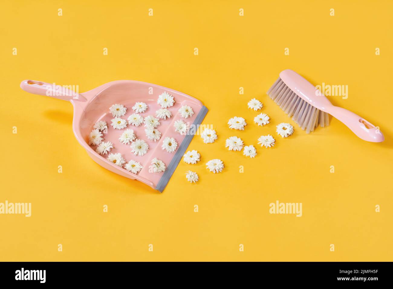 Sweeping Flower Sweeping white flowers in brush and dustpan on yellow studio background ...