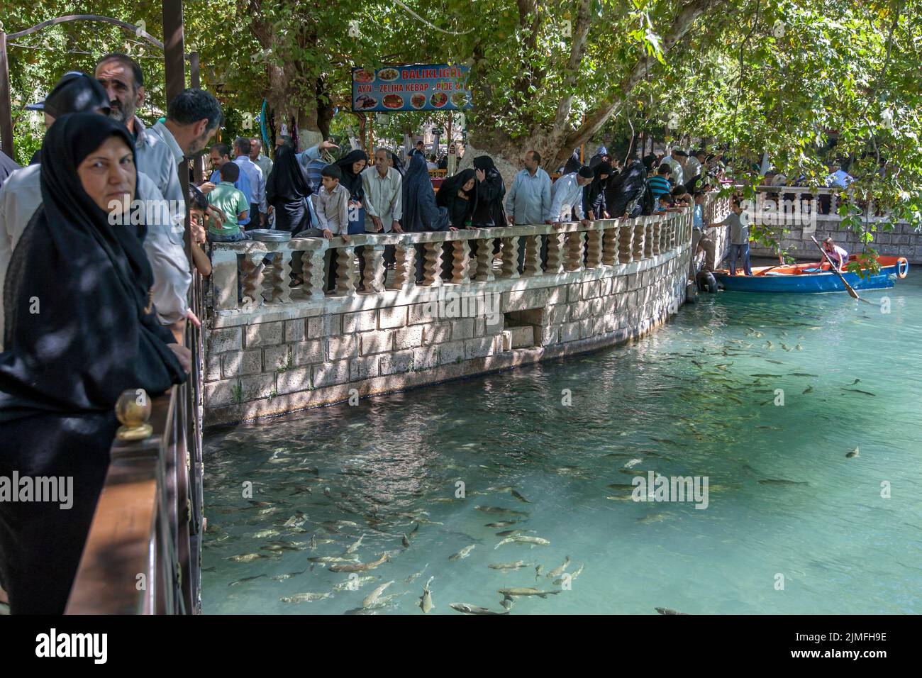 Muslim tourists admire the sacred carp fish at Ayn-i Zeliha, the second sacred pool in Golbasi Park at Sanliurfa in Turkey. Stock Photo