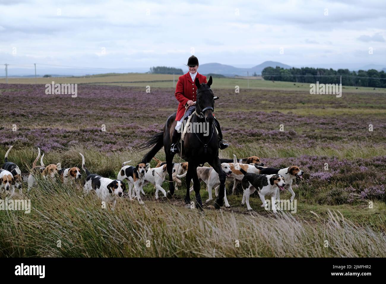 Lauder, UK. 06th Aug, 2022. Lauder, UK. Saturday 06 August 2022 ...