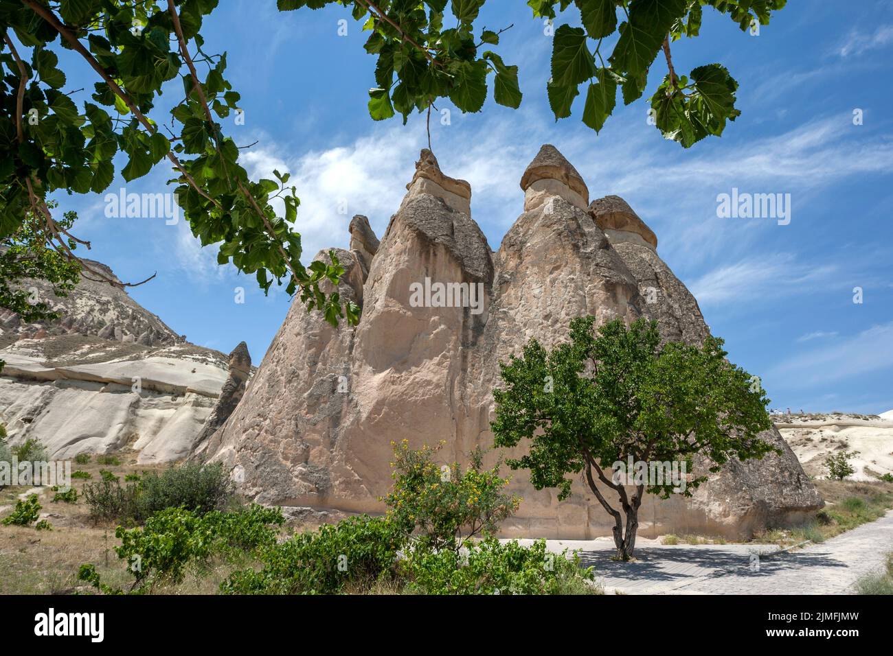 The unique volcanic landscape at Pasabagi near Zelve in the Cappadocia region of Turkey which features rock formations Stock Photo