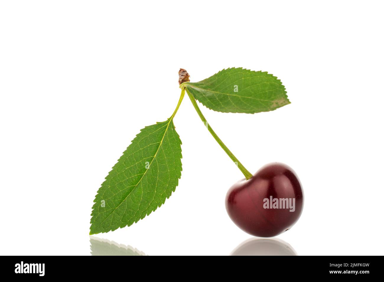 One ripe sweet cherry, close-up, isolated on a white background Stock ...