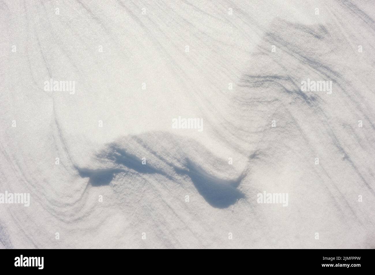 Texture of the snow Stock Photo