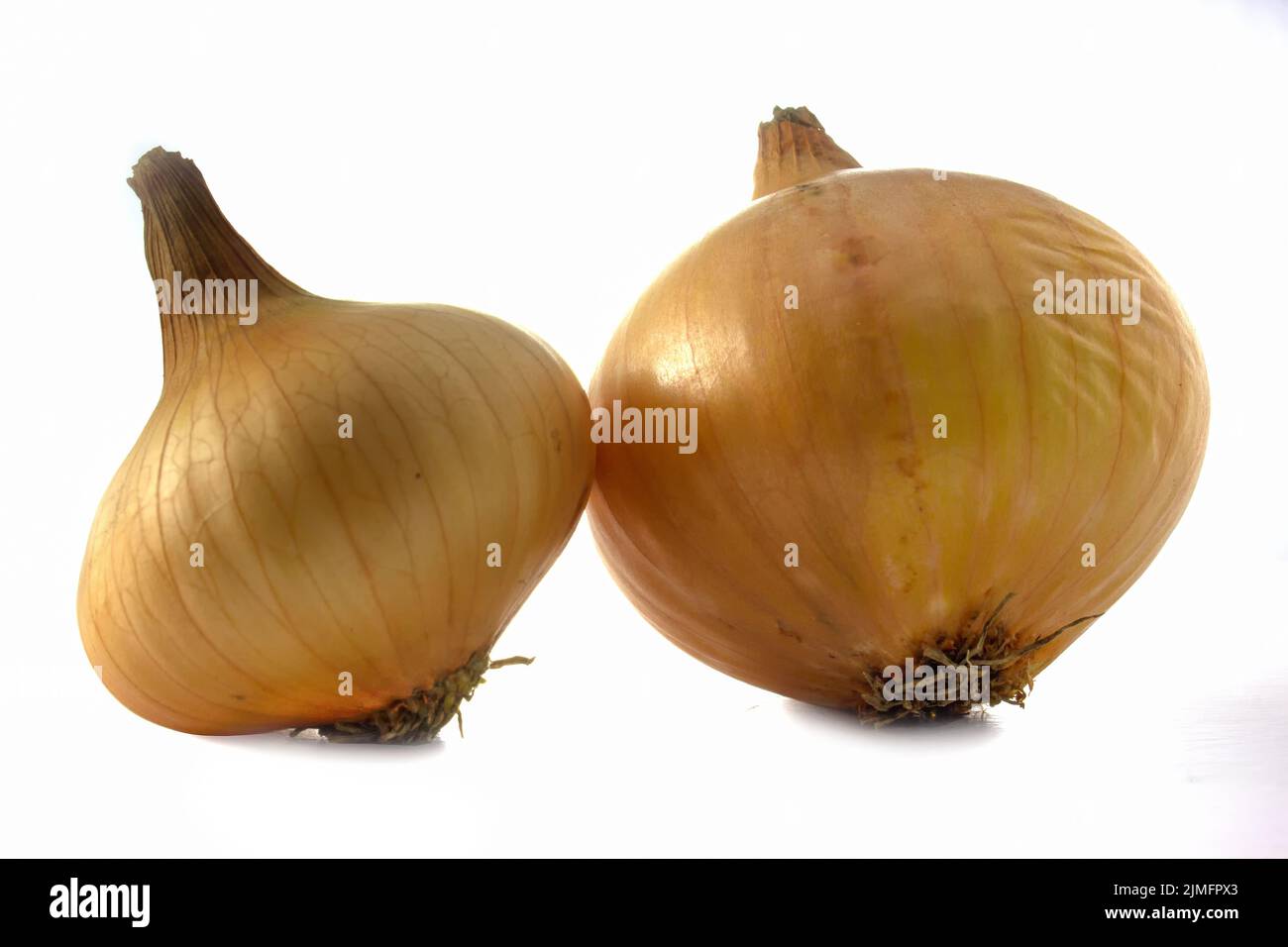 Onions isolated on white background. Whole fruits of vegetables Stock Photo
