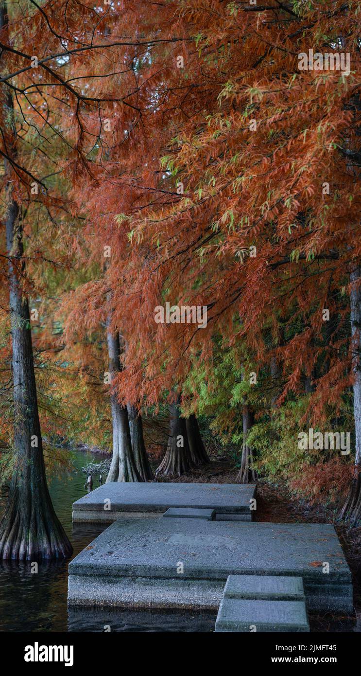 A sunny autumn day on the six lake plateau in Duisburg Stock Photo