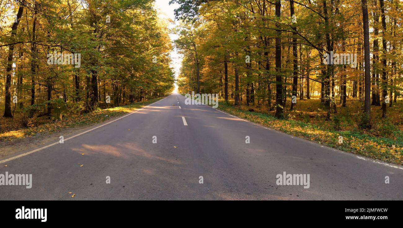 Asphalt road in a colorful autumn forest. Photo of the bend in the road ...