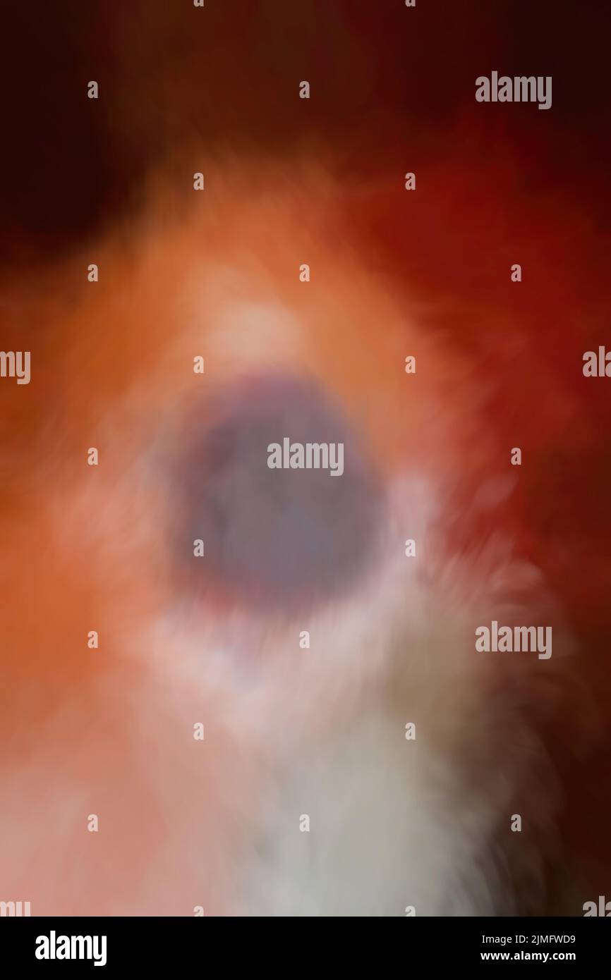 Abstract blurred colorful background Stock Photo