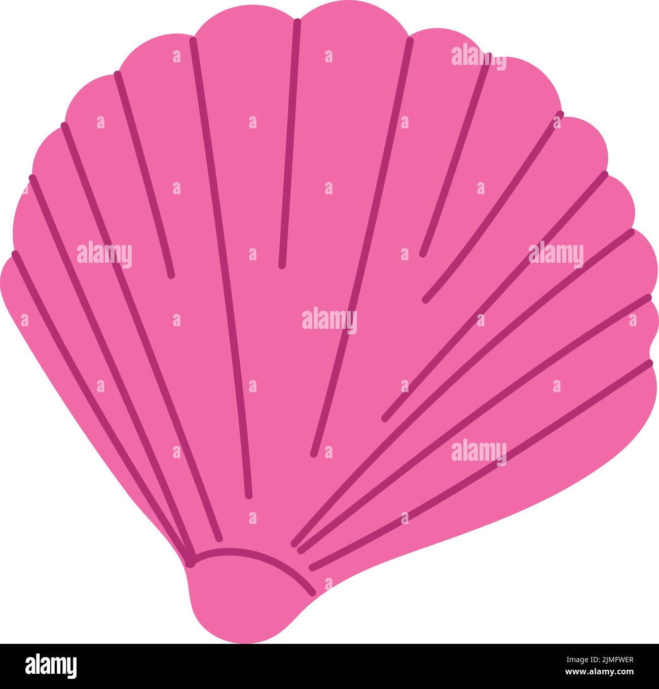 pink conch shell Stock Vector Image & Art - Alamy