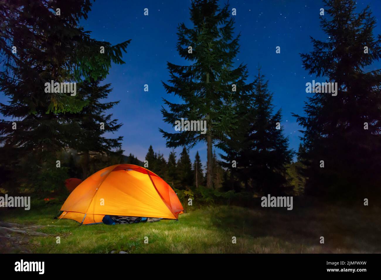 Шатер Camp Forest