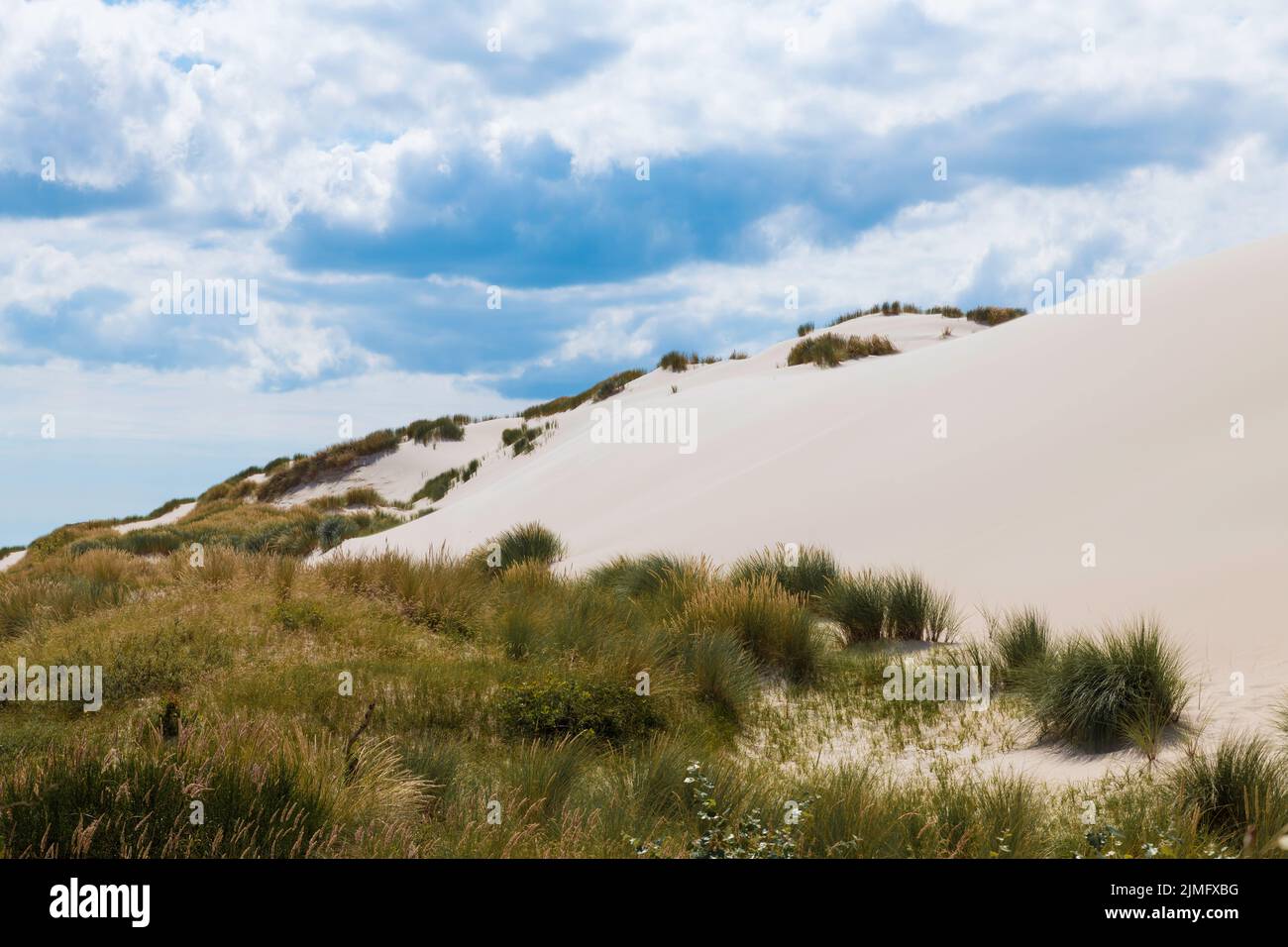 crystal white sand on the schoorl dunes in holland Stock Photo