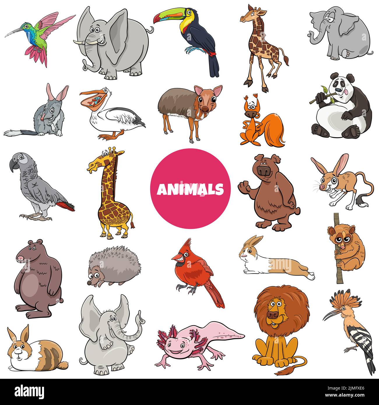 Cartoon wild animal species characters big set Stock Photo