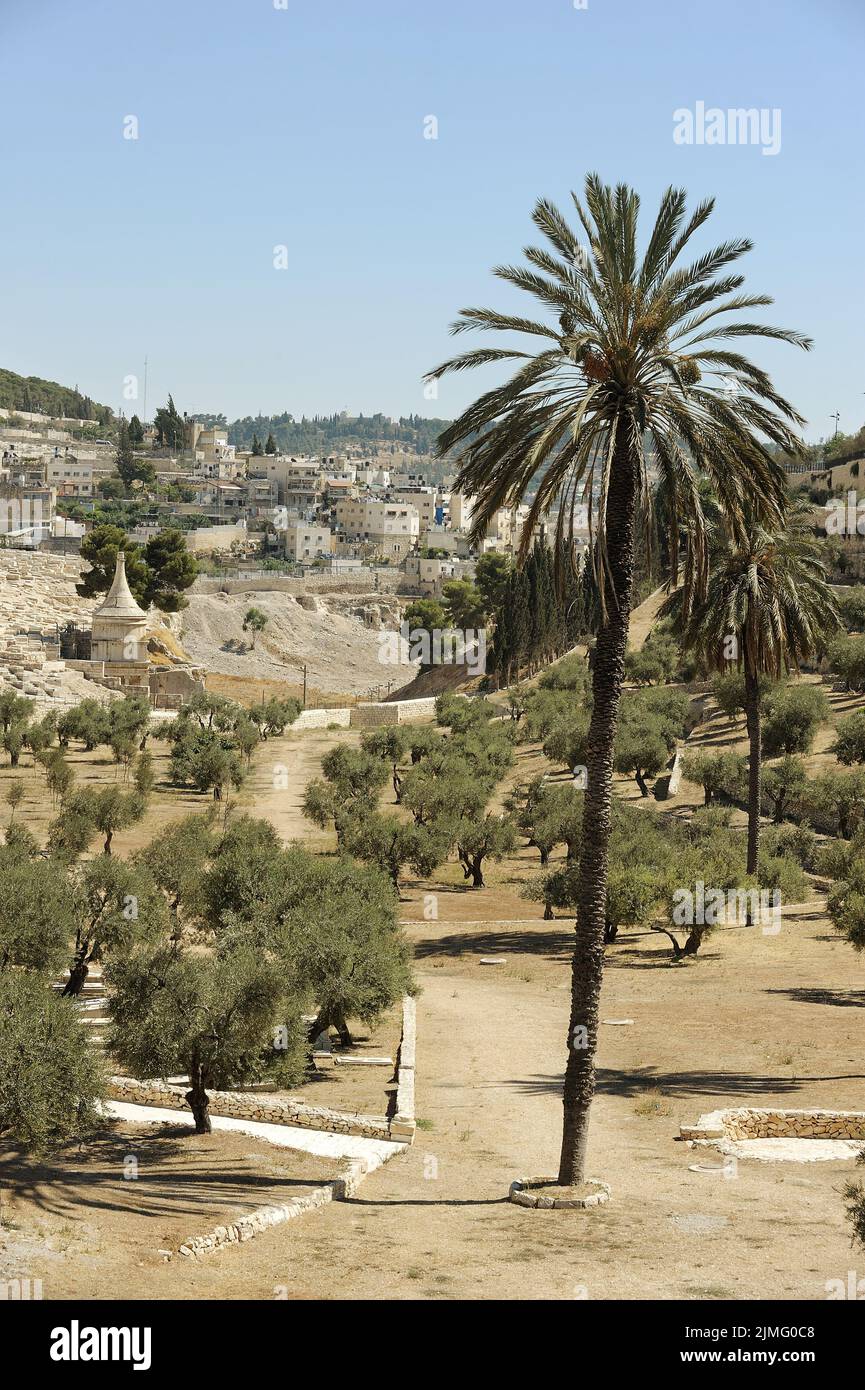 Kidron Valley and the Mount of Olives Stock Photo