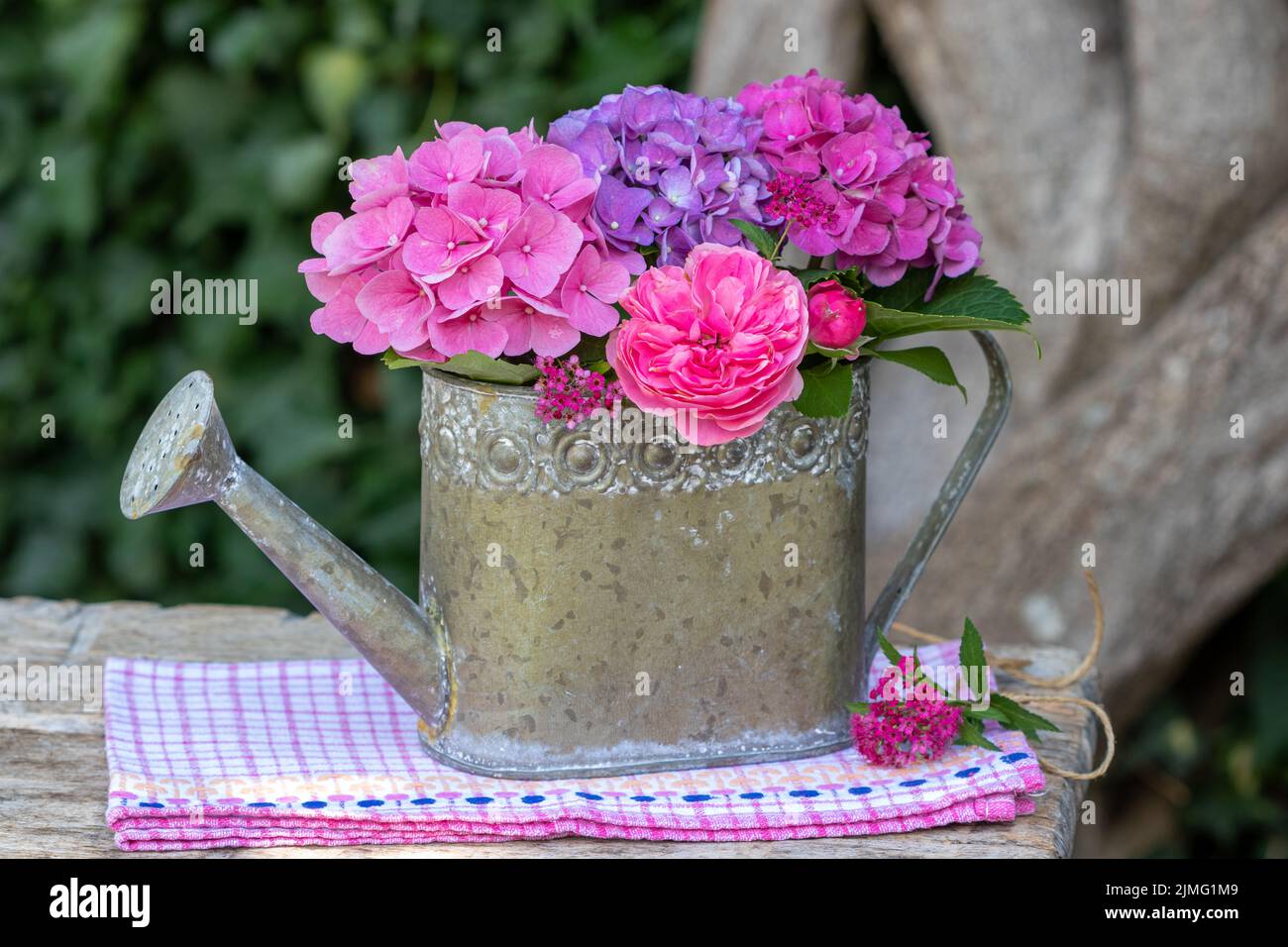 bouquet of pink rose and hydrangea flowers in decorative watering can Stock Photo