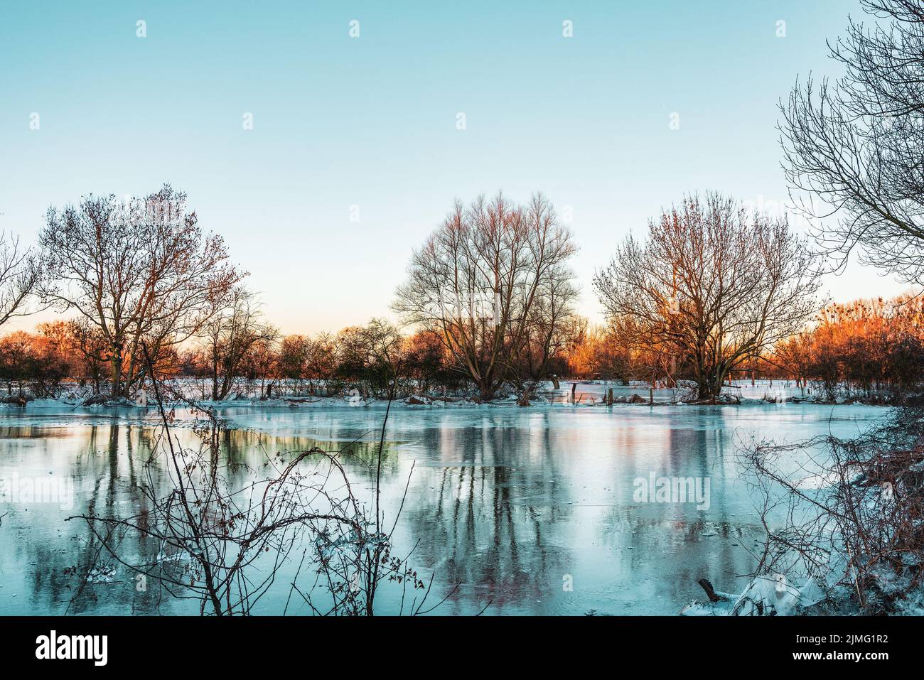 Ice covered field after a flood and frosty night Stock Photo