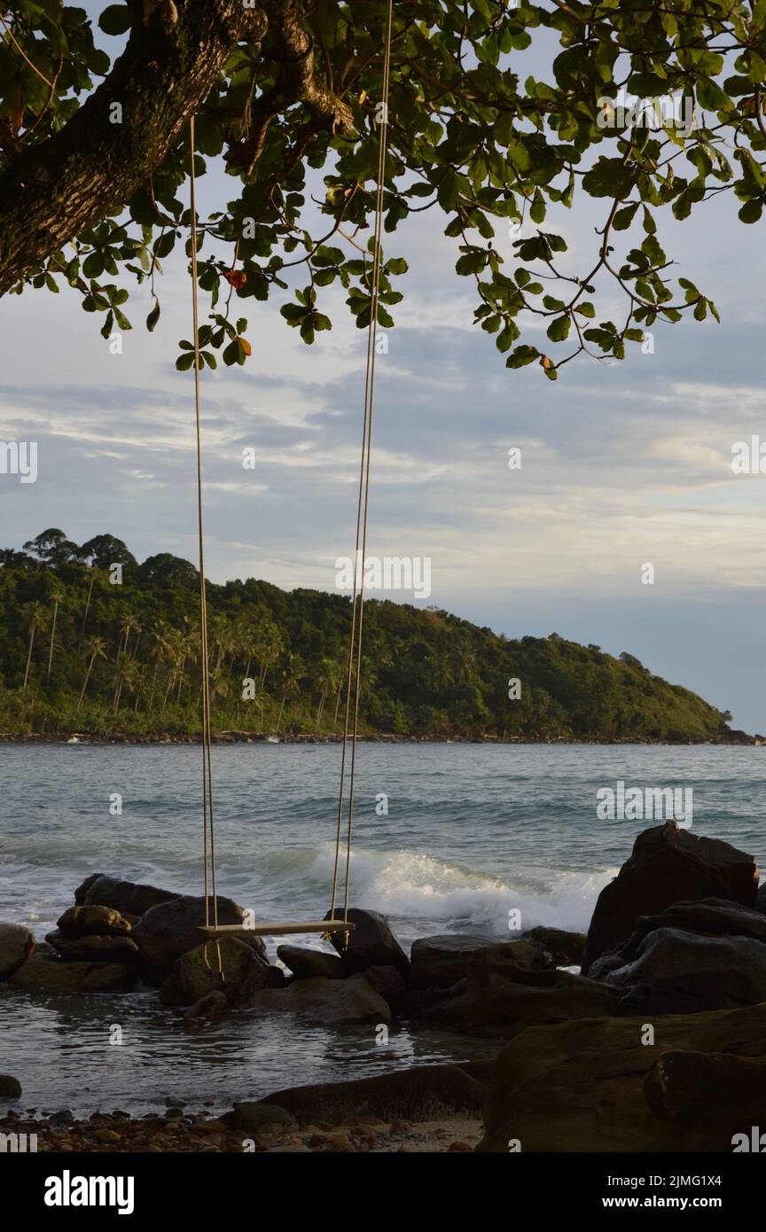Swing on the tropical beach Stock Photo Alamy