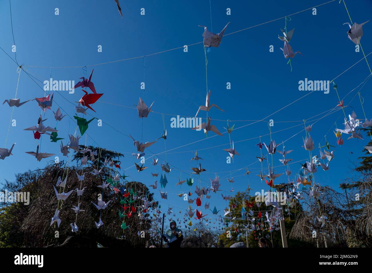 A thousand origami cranes seen hanging during 'A Day for Peace' event marking the 77th anniversary of the atomic bombing of Hiroshima by the USA. Stock Photo