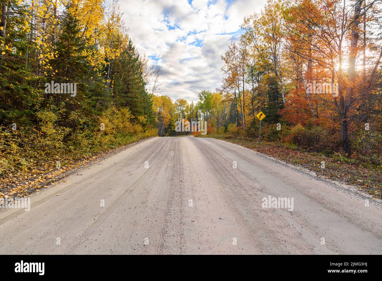 Empty unmade road through a colourful autumn forest at sunset Stock Photo