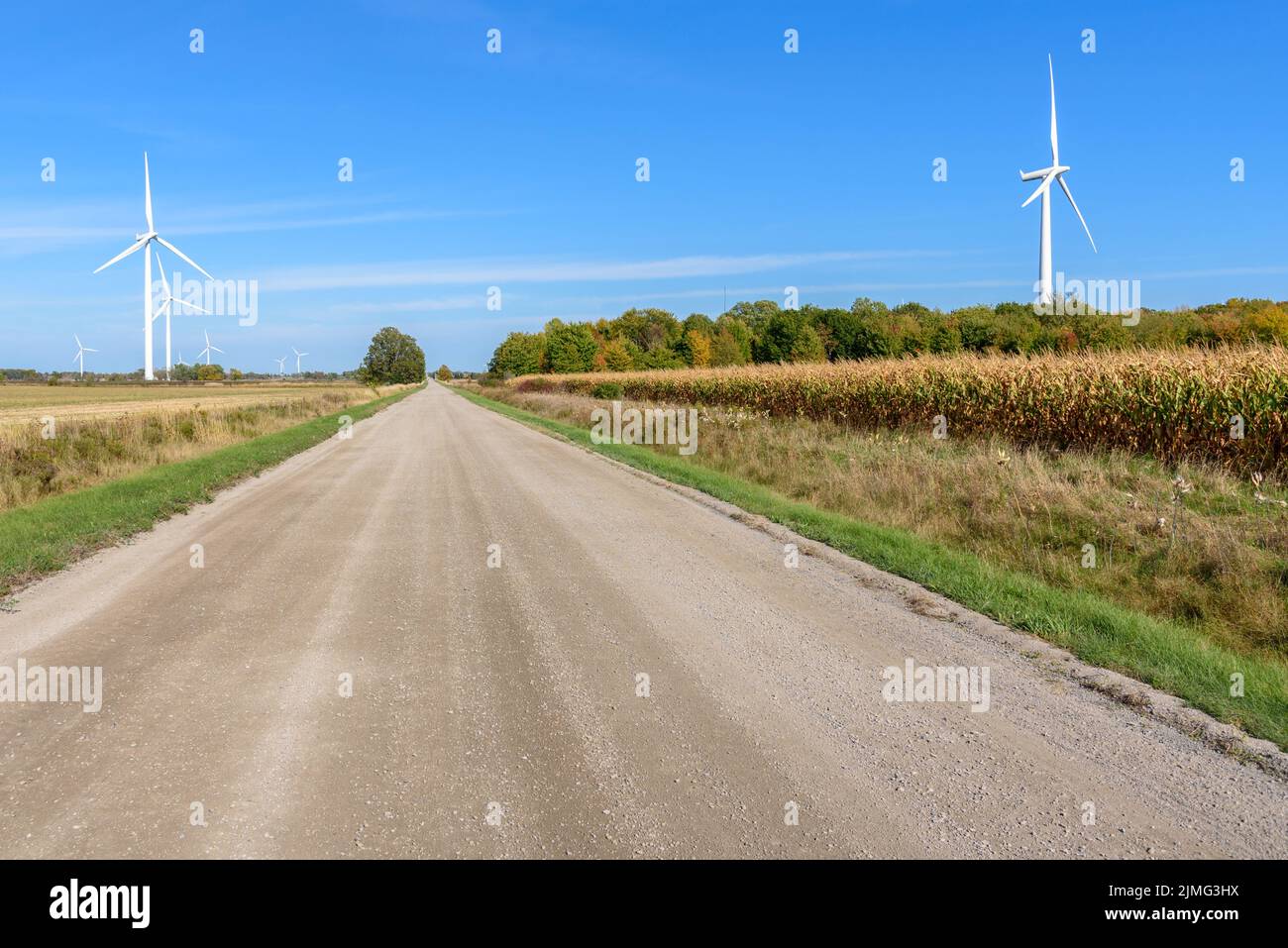 Wind turbines along a straight unpaved country road under blue sky in autumn Stock Photo