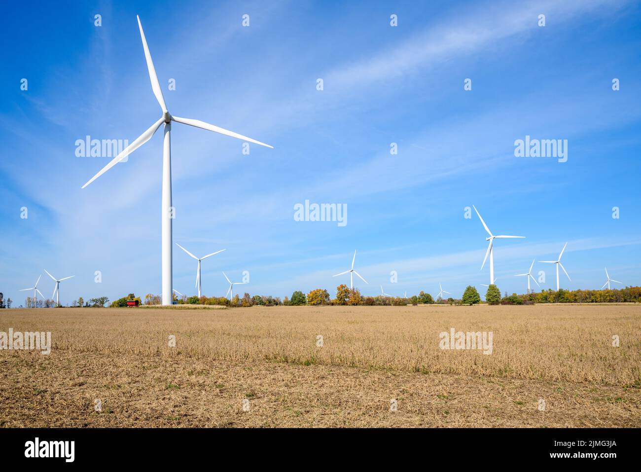 Wind farm in a rural landscape under blue sky in autumn. Copy space. Stock Photo