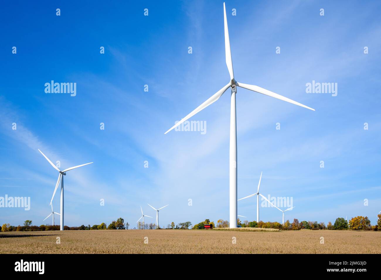 Tall wind turbines in a wheat field under blue sky in autumn Stock Photo
