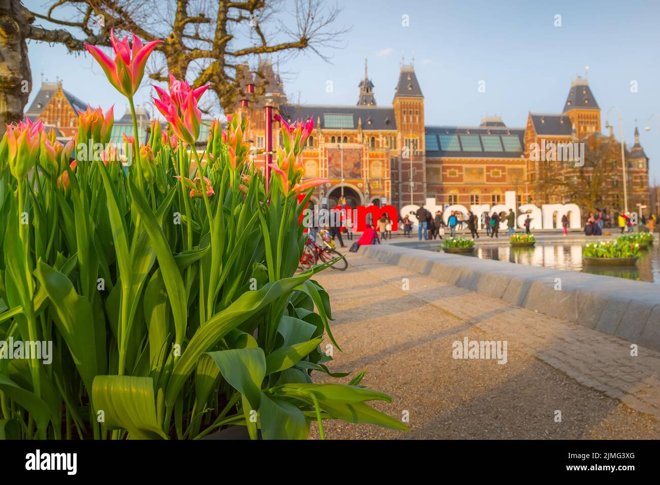 Flowers and Rijksmuseum, Amsterdam, Holland Stock Photo Alamy