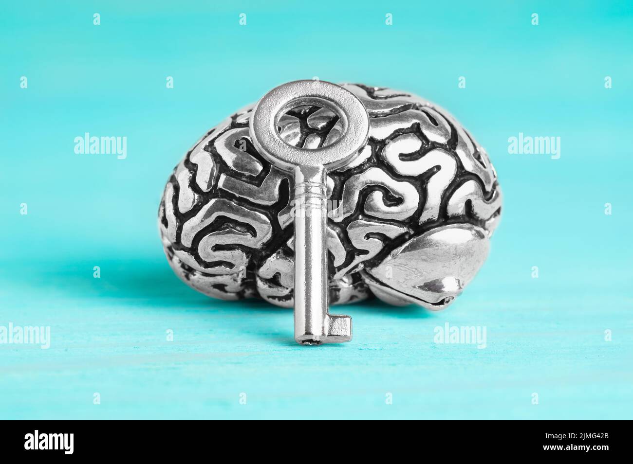 Steel human brain anatomical copy with a silver-toned master key isolated on a blue wooden background, selective focus. Mental wellbeing concept. Stock Photo