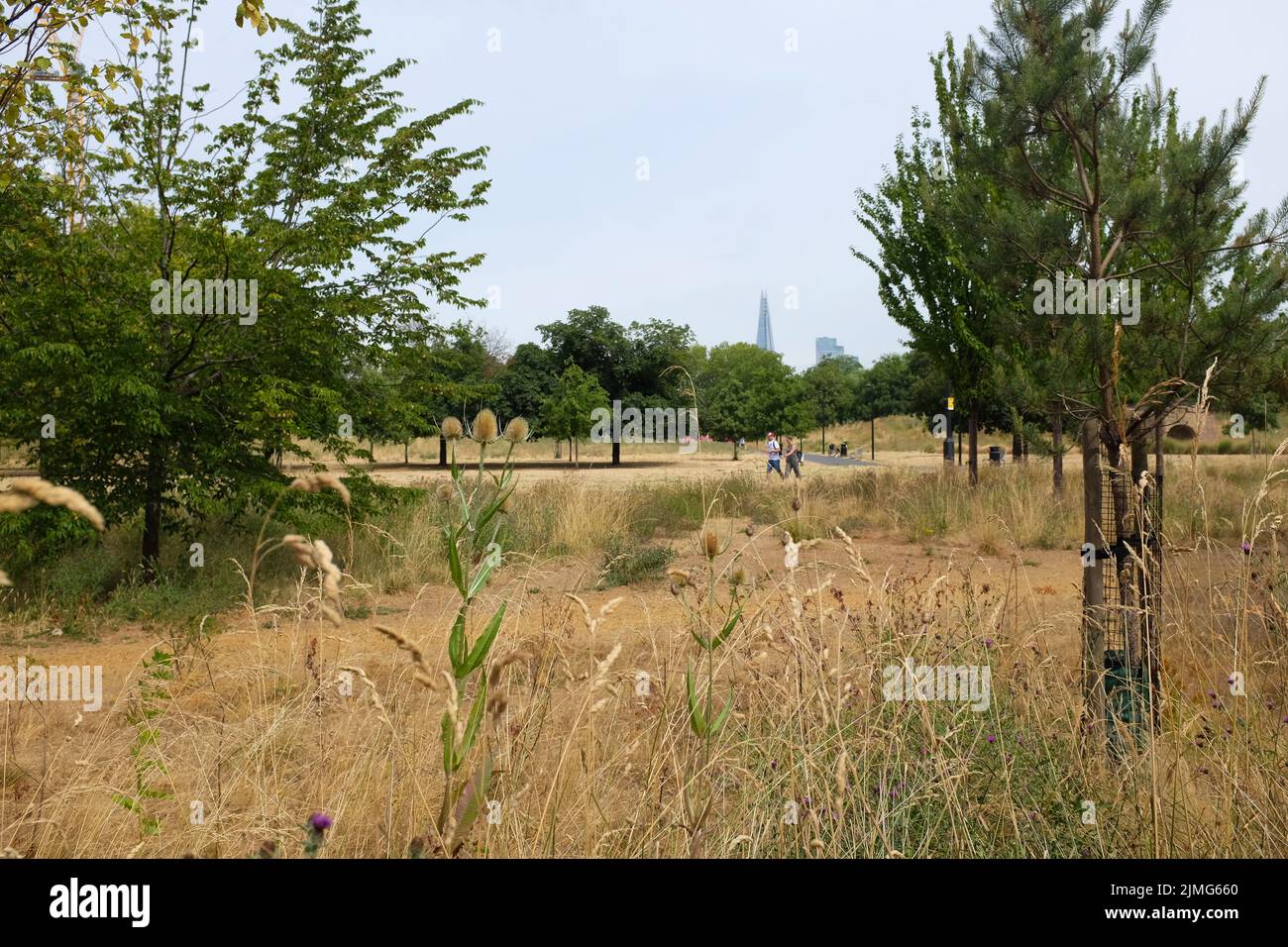 Burgess Park, at 56 hectares the largest park in the London borough of Southwark, London, England. Stock Photo