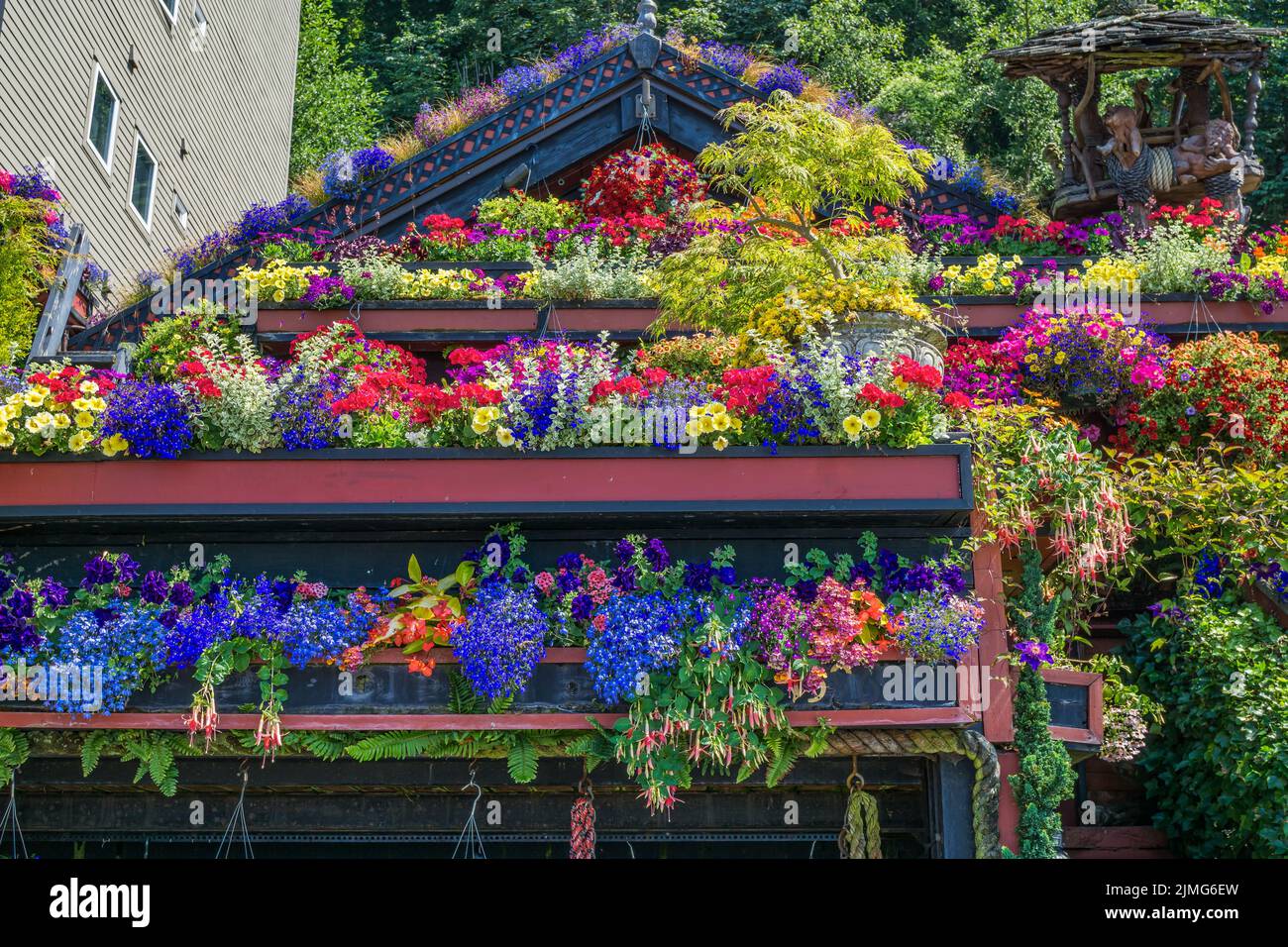 A house covered with flowers in West Seattle, Washington. Stock Photo