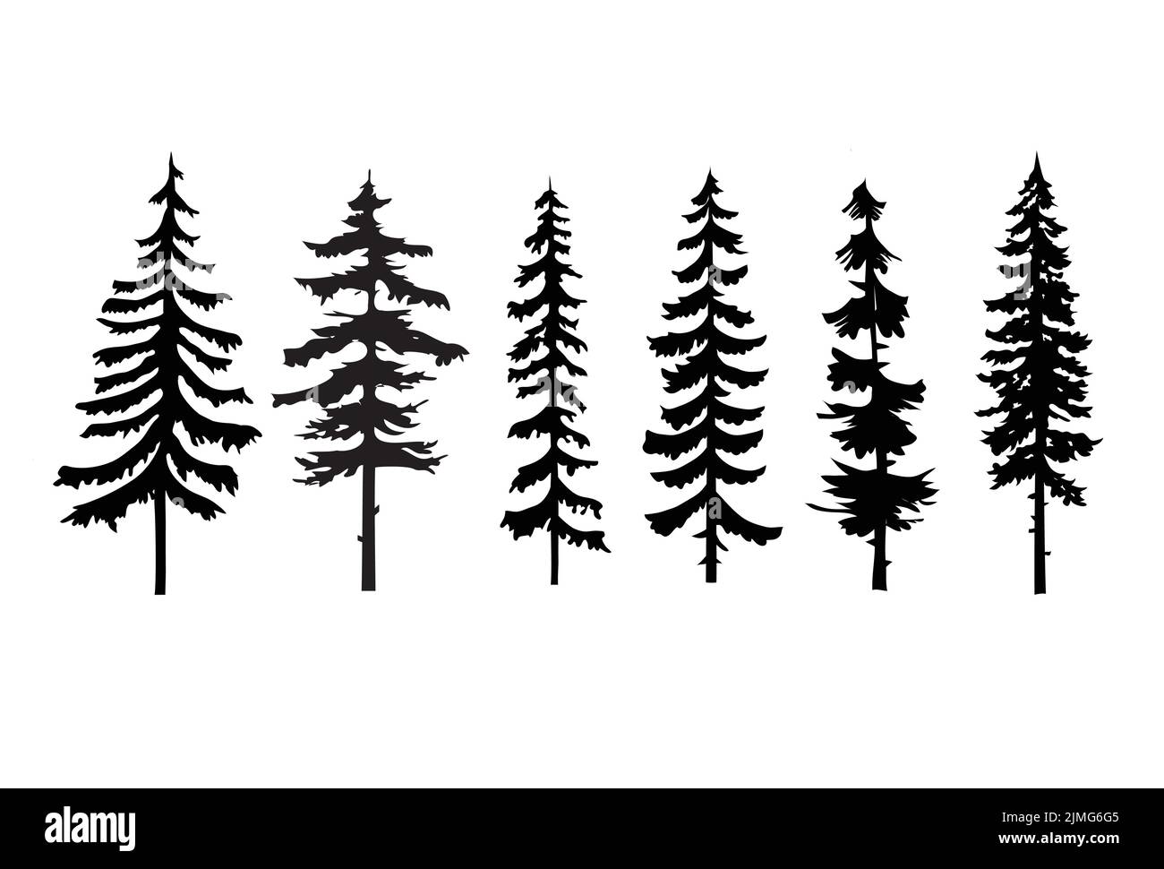 A vector illustration of silhouette of pine trees isolated on a white ...