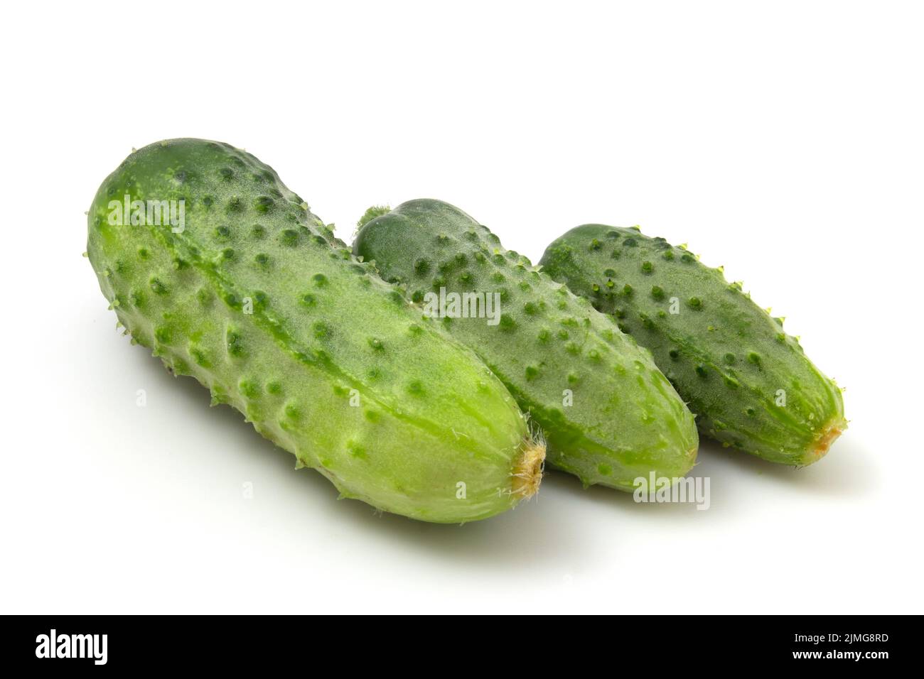 Three green gherkin cucumbers isolated on white background. Stock Photo