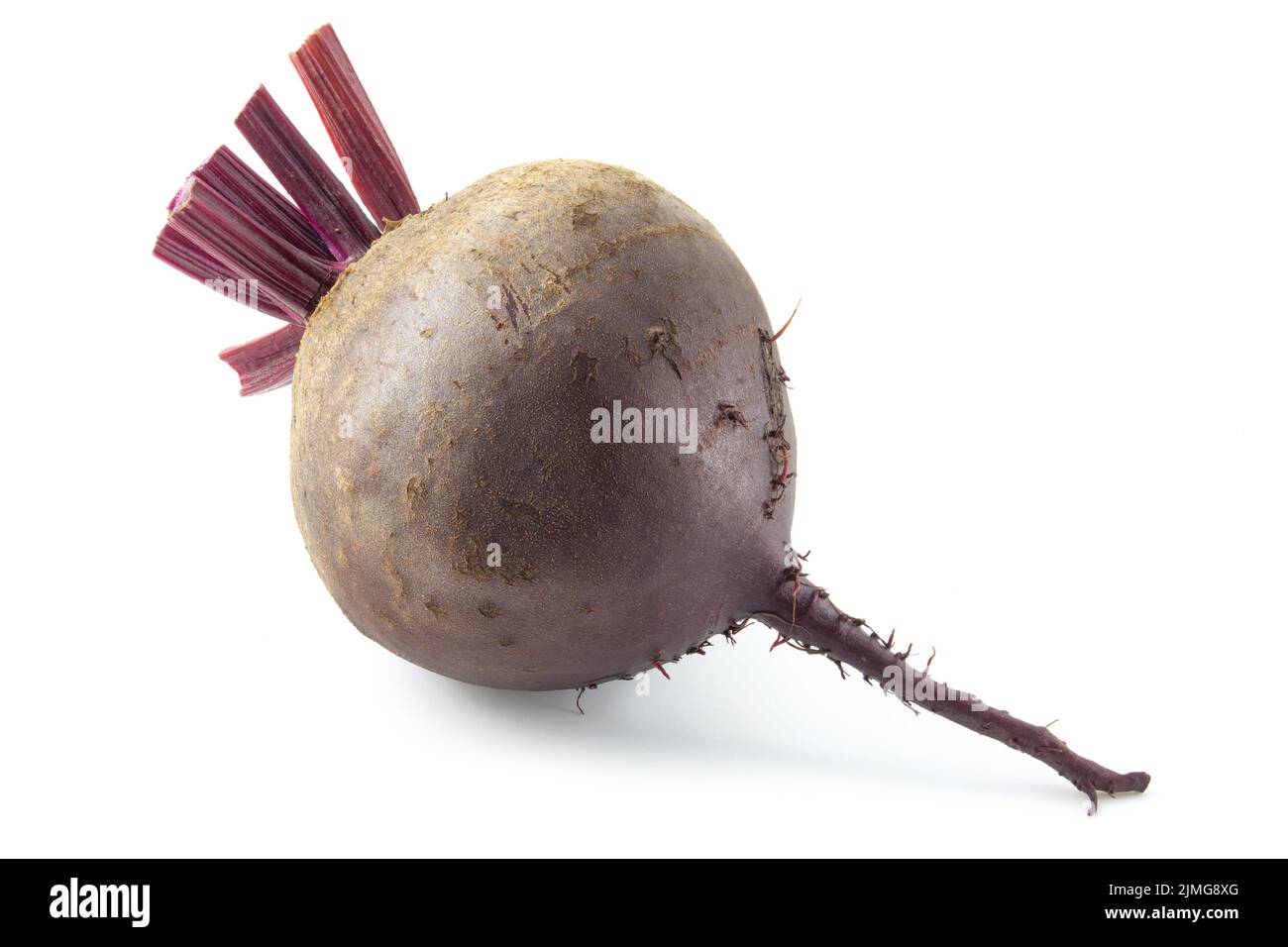 Red table beets isolated on white background. Stock Photo