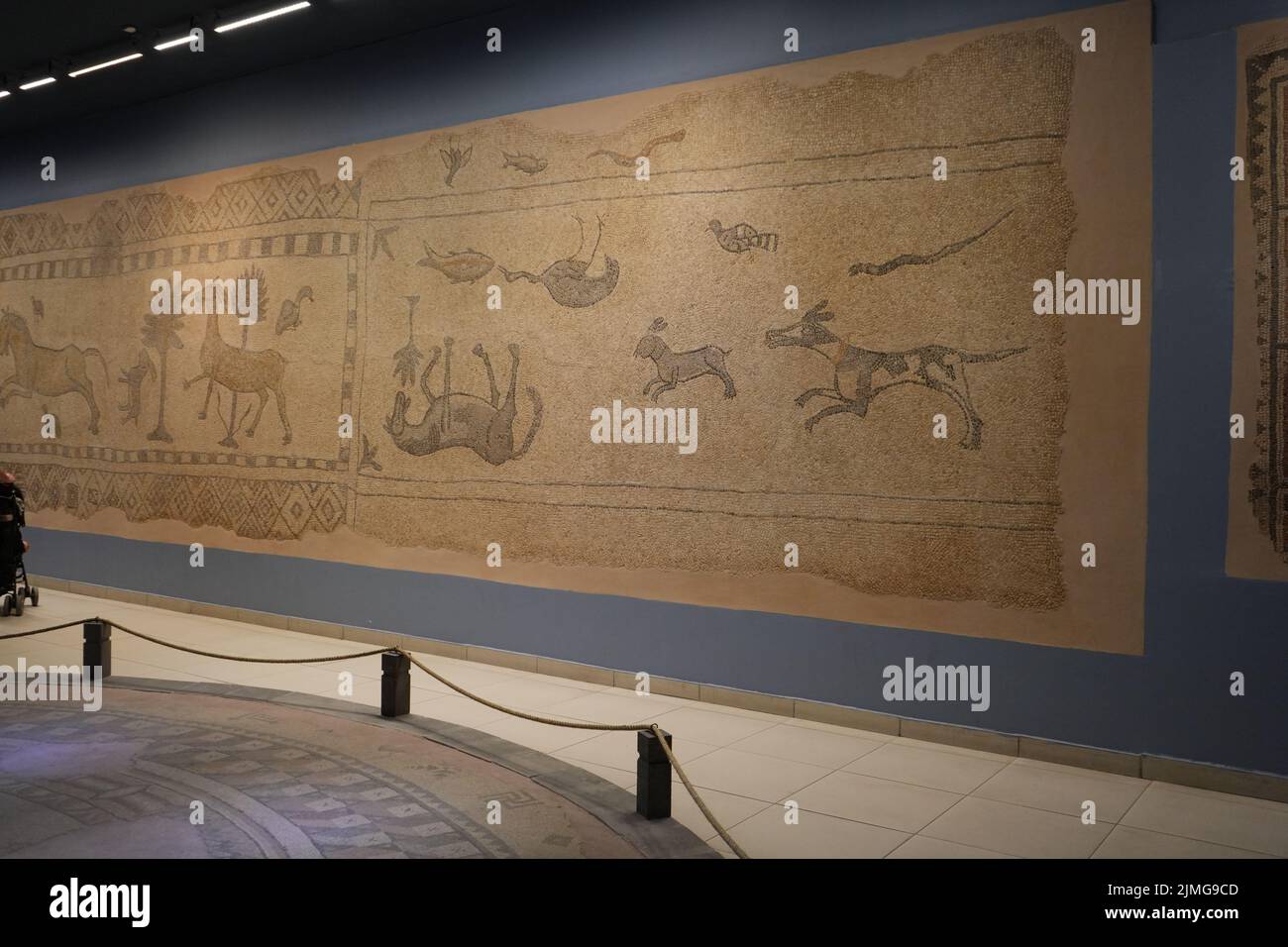 Saridere Mosaic discovered on 2005 at Bagtepe Village, Gaziantep Mosaic Museum Stock Photo