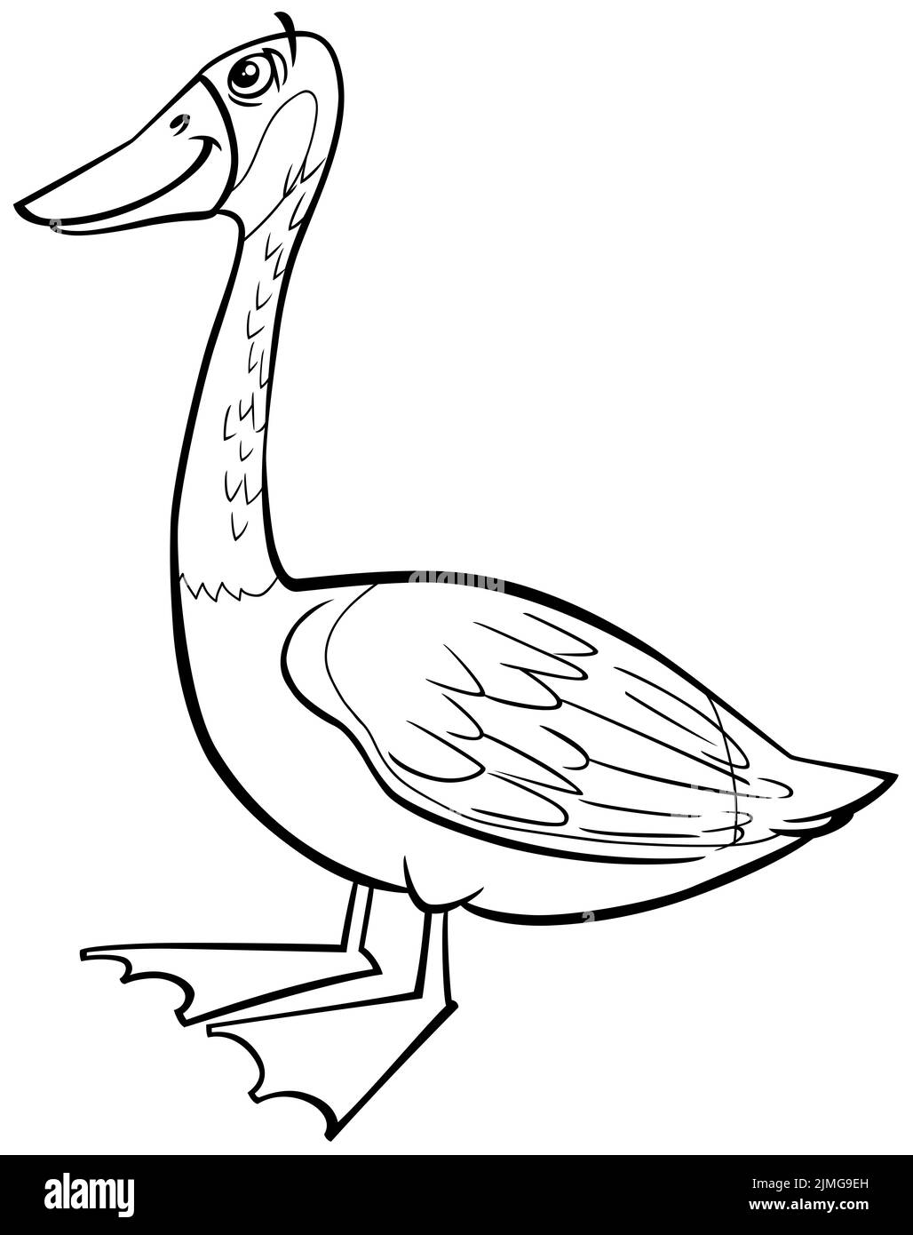 Cartoon wild goose bird animal character coloring book page Stock Photo