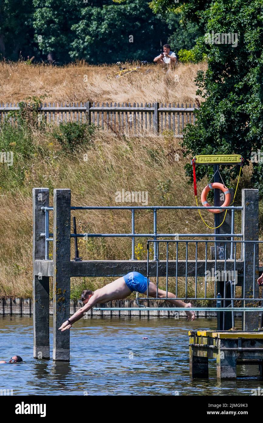 London, UK. 6th Aug, 2022. People dive in to the mens bathing pond to cool off, in stark contrast to the scorched grass on the hillside above - Hot weather continues the drought conditions on Hampstead Heath. Credit: Guy Bell/Alamy Live News Stock Photo