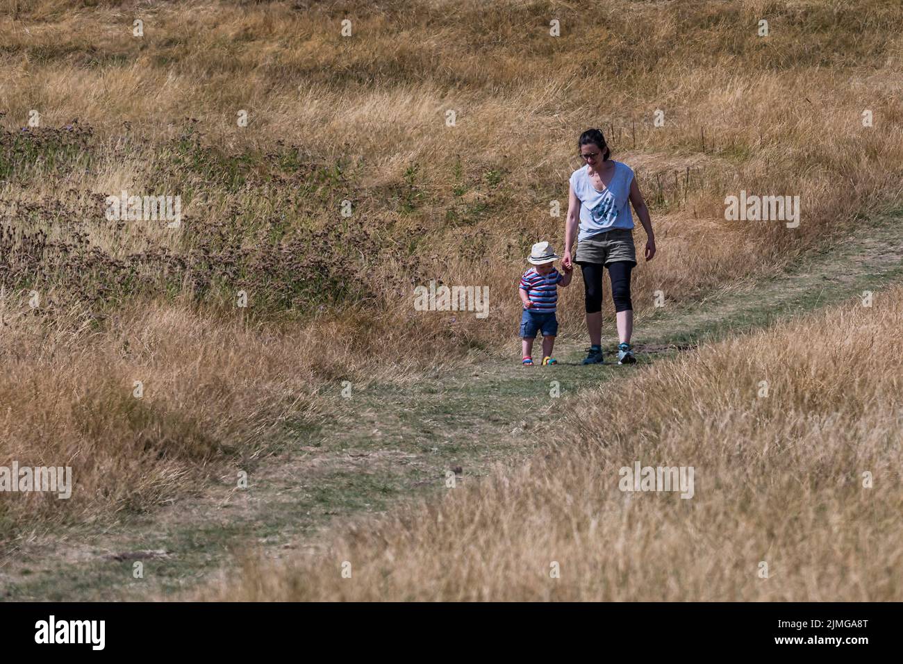 London, UK. 6th Aug, 2022. People walk and have picnics in the yellow scorched grass of Parliament Hill - Hot weather continues the drought conditions on Hampstead Heath. Credit: Guy Bell/Alamy Live News Stock Photo