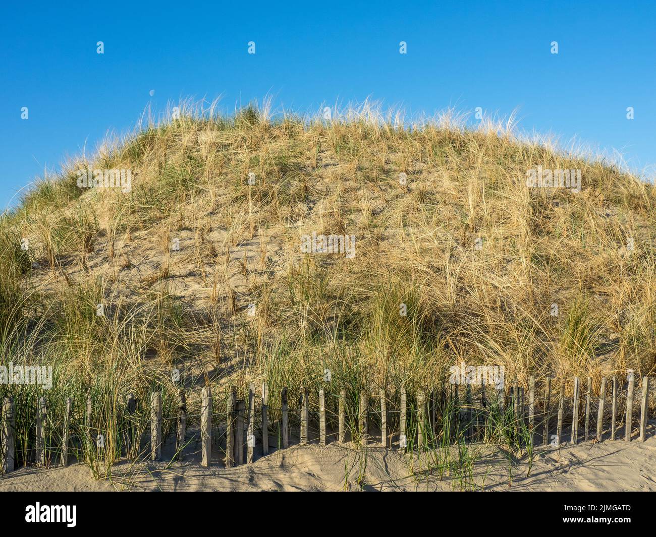 House of egmond hires stock photography and images Alamy