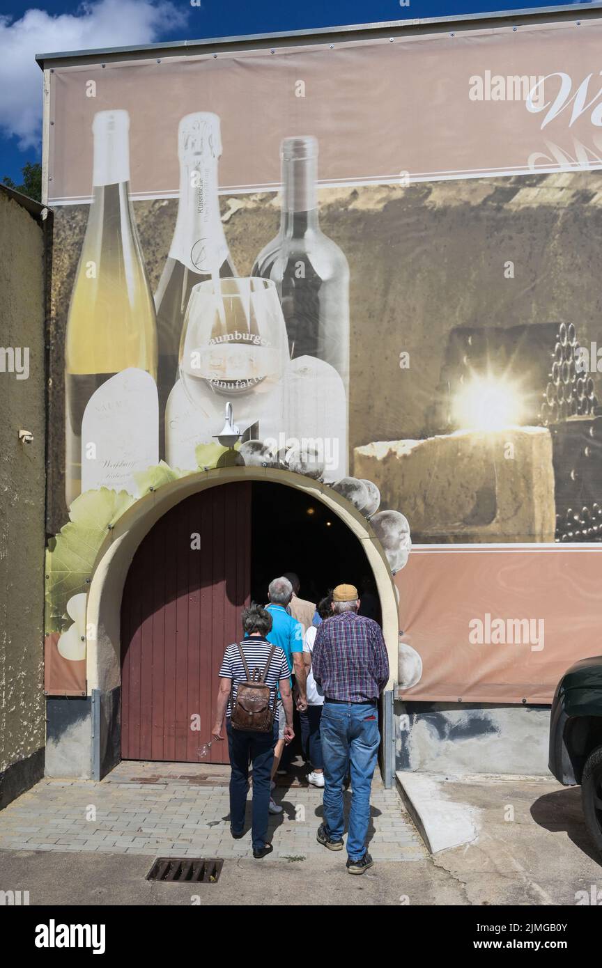 06 August 2022, Saxony-Anhalt, Naumburg: Visitors go on a cellar tour in the wine cellar of the Naumburger Wein & Sekt Manufaktur in Naumburg. Wineries and winegrowers' stations in the Saale-Unstrut wine region and the Mansfeld Lakes Wine Route around Höhnstedt show how and where their wines are made. Photo: Heiko Rebsch/dpa Stock Photo