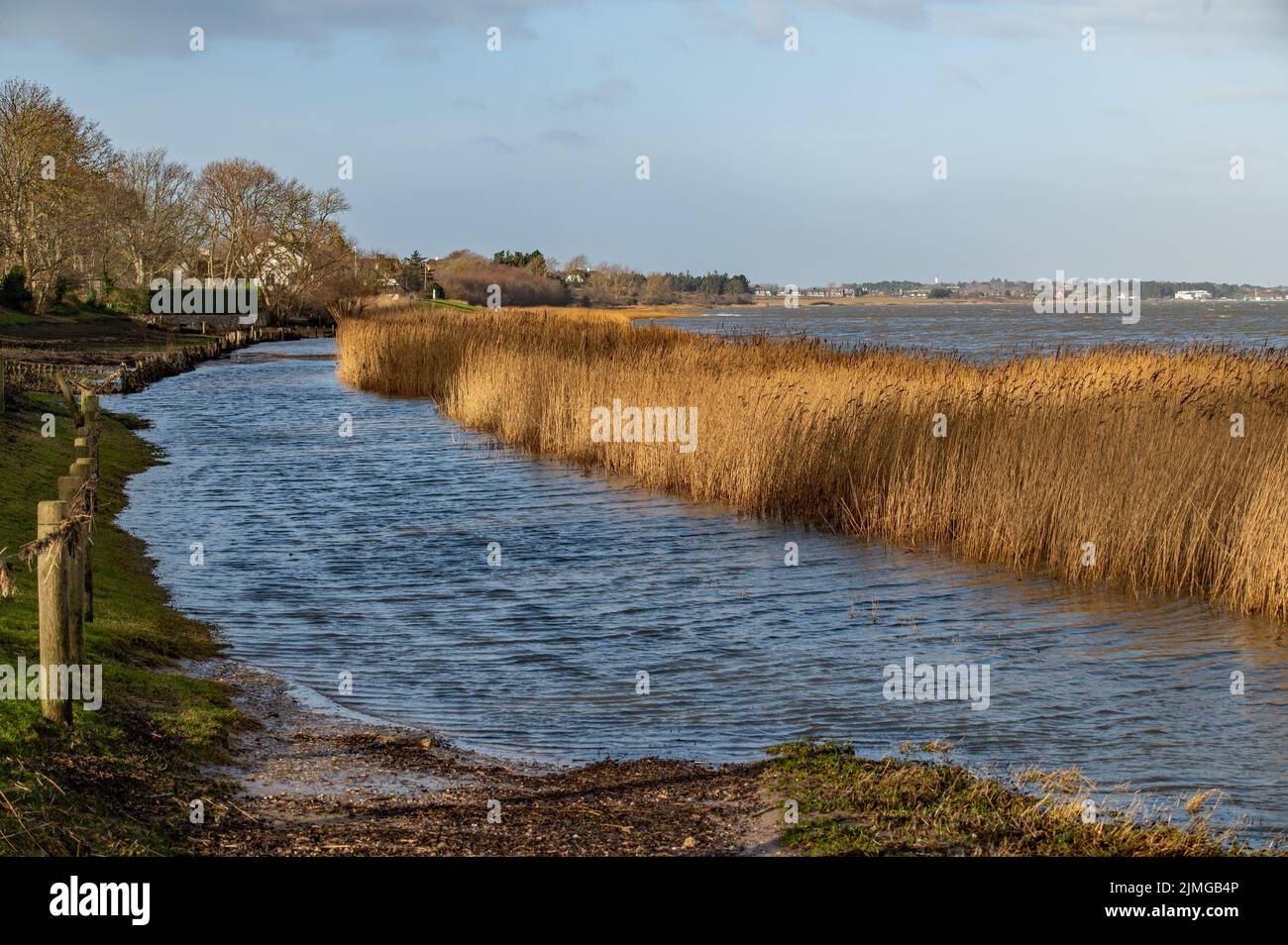 Flooding Stock Photo