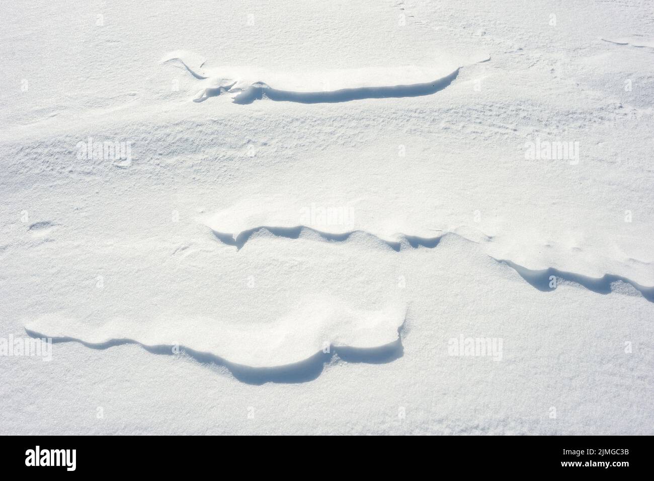Texture of the snow Stock Photo