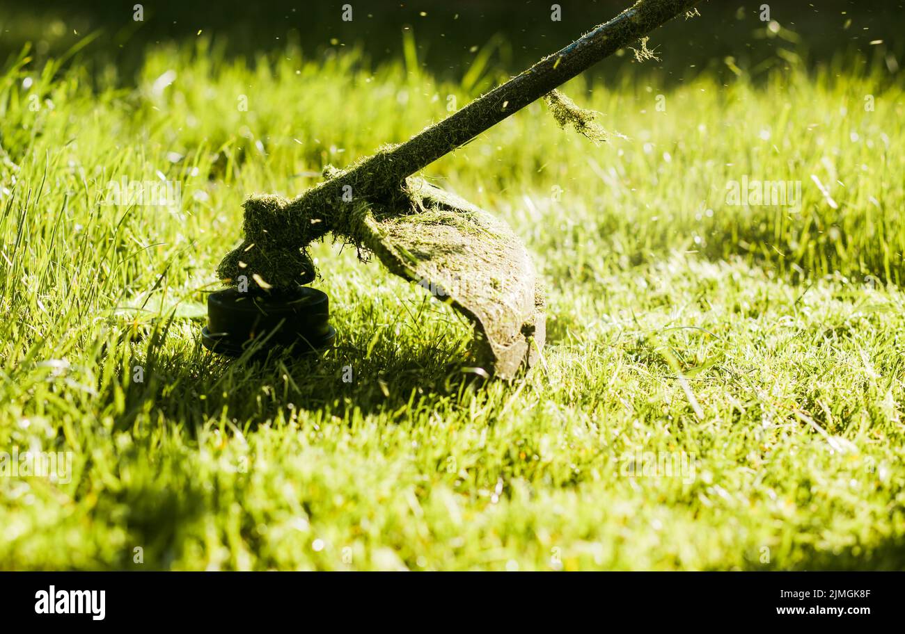 Mowing a lawn fresh green grass Stock Photo Alamy