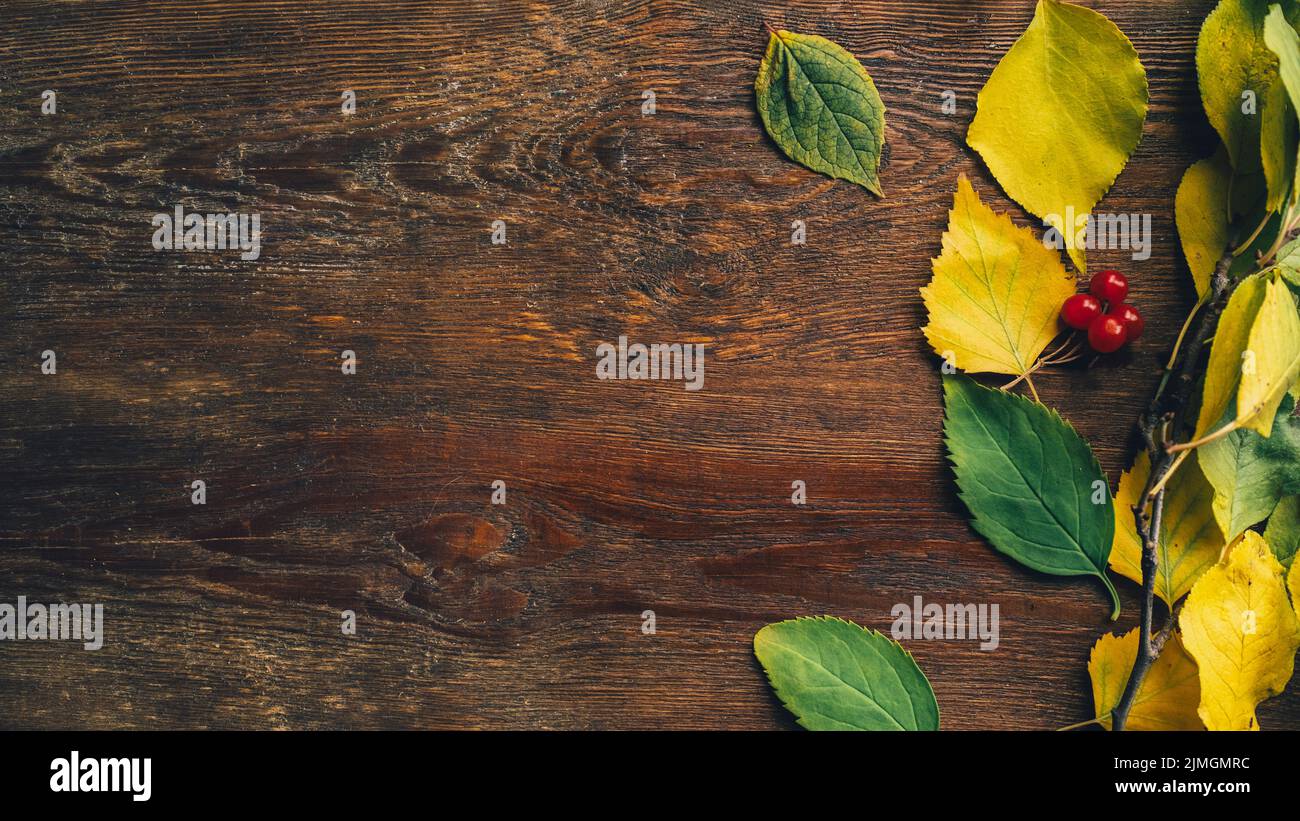 autumn rustic decor wooden background fall leaves Stock Photo - Alamy