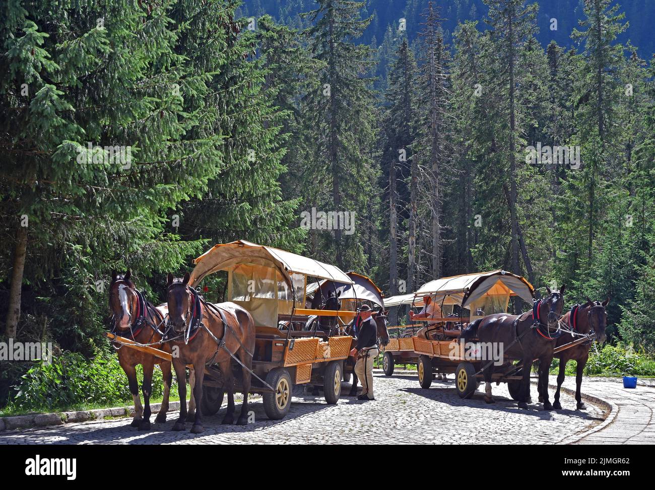 Horse carts at the destination , the lake Morskie Oko Stock Photo