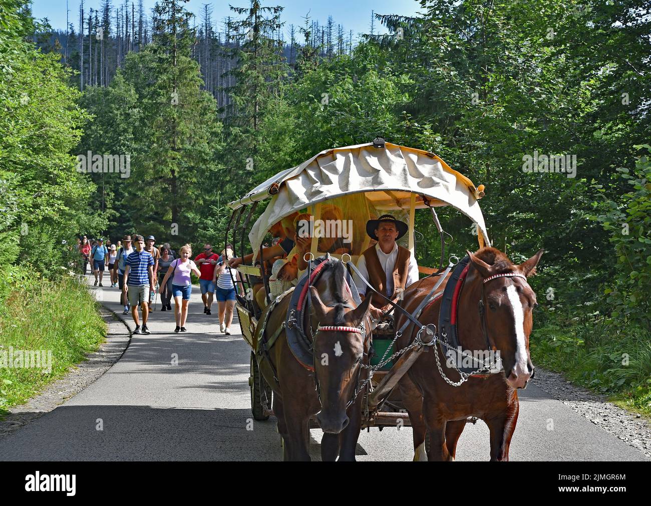 Tourists on their way to the Morskie Oko lake , High Tatras, Poland Stock Photo