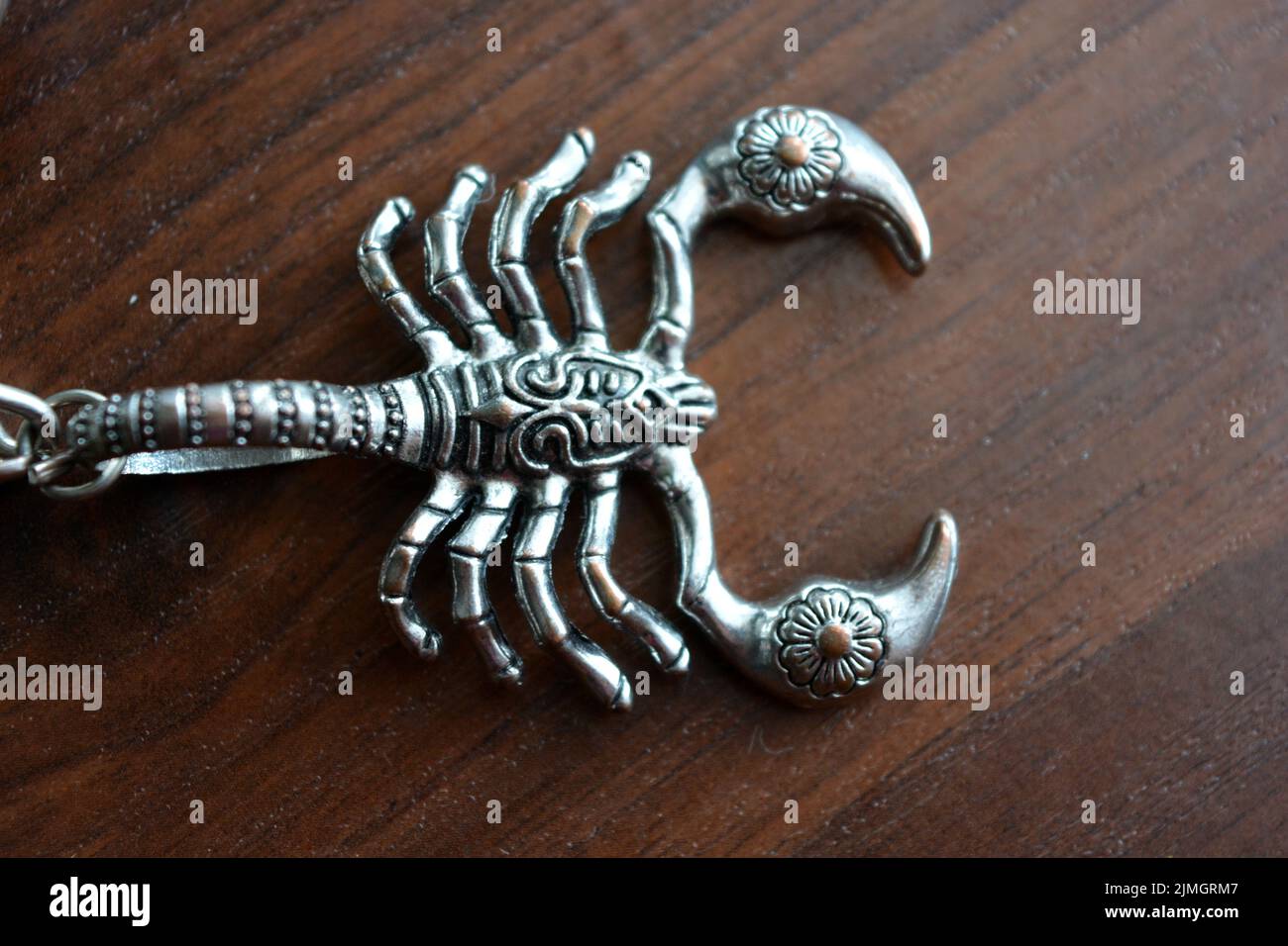 skeleton of a tyrannosaurus rex